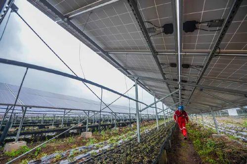 中國十三省最大光伏電站在這里！欽州康熙嶺的光伏電站能排上號了嗎？